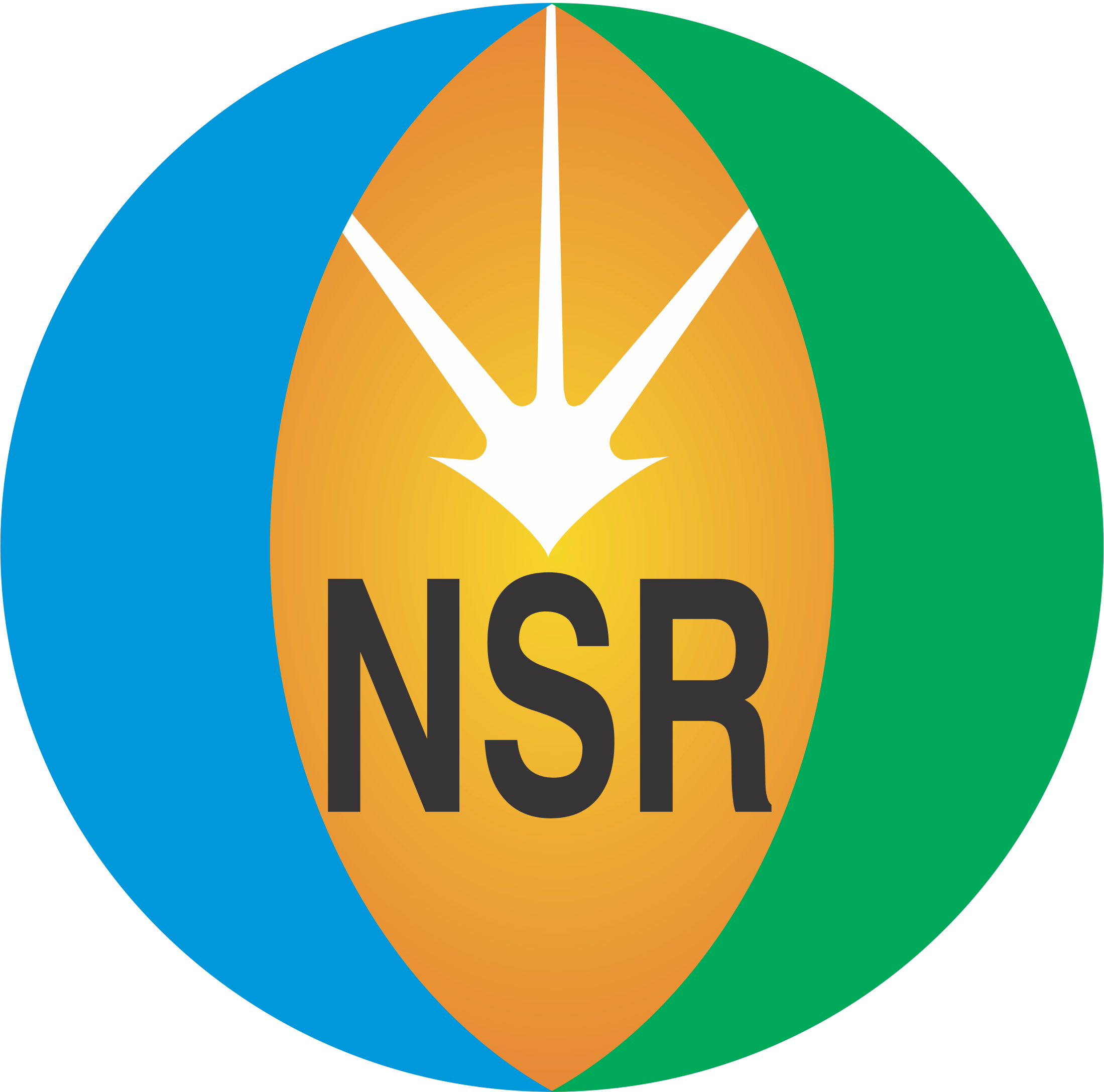 NEW SILK ROAD OIL AND GAS